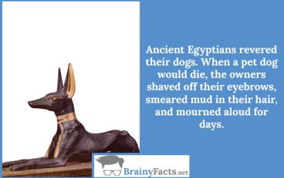 Ancient Egyptians