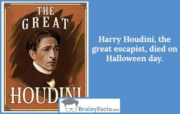 who did harry houdini name himself after