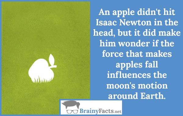 Isaac Newton apple