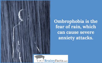 Ombrophobia