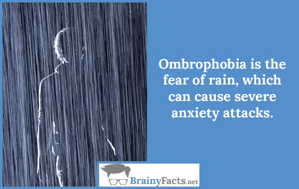 Ombrophobia