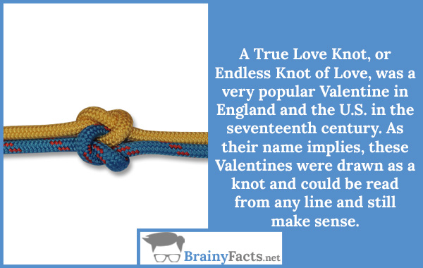 Knot of Love