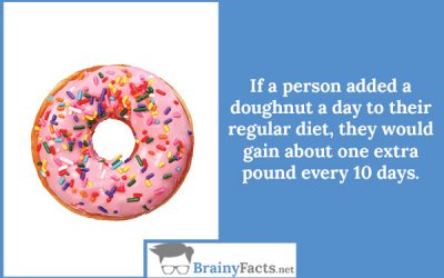 Doughnut diet