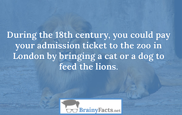 Zoo admission ticket