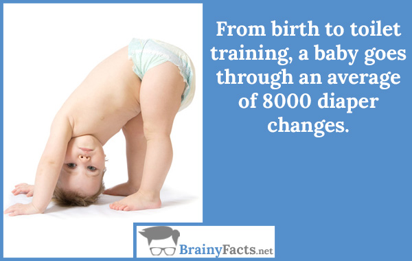 From birth to toilet training