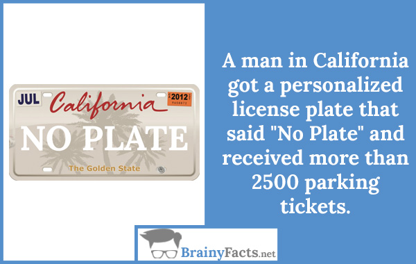 No Plate
