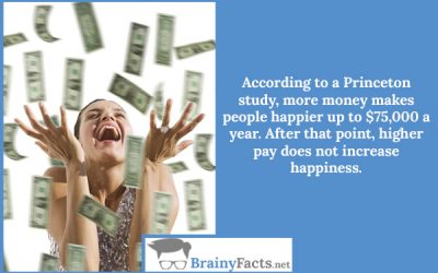 Can Money Buy You Happiness?