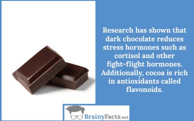 Chocolate reduces stress