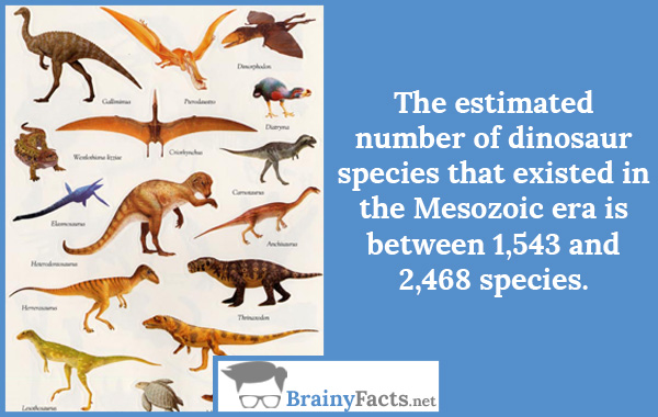 Dinosaur species