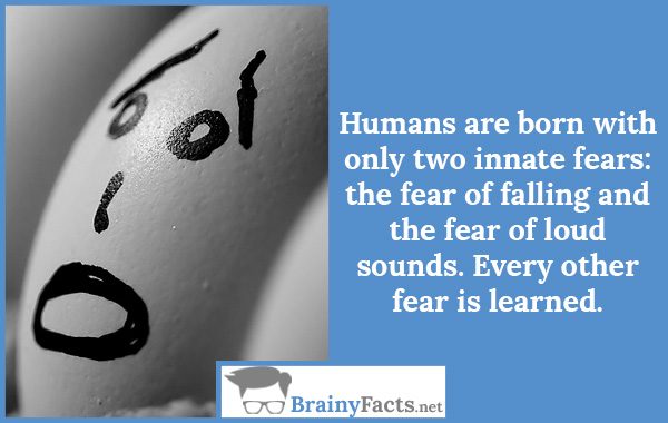 life-facts-fears-did-you-know