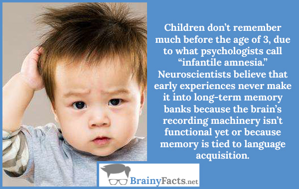 Infantile amnesia