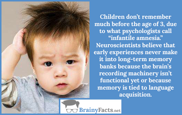 research on infantile amnesia suggests that adults