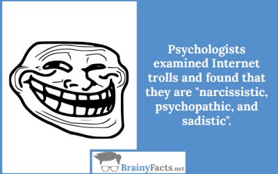 Internet trolls