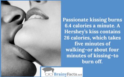 Kissing burns calories