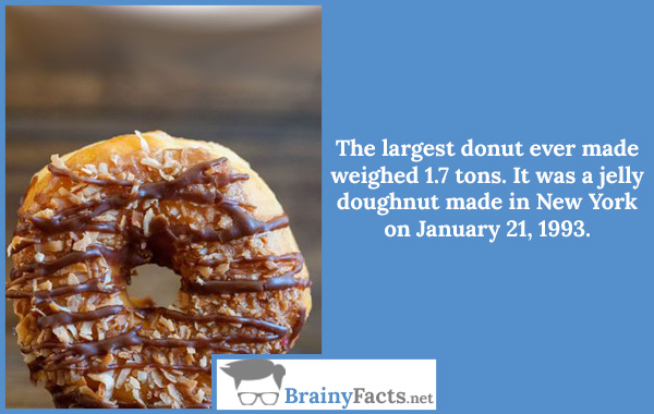 The largest donut