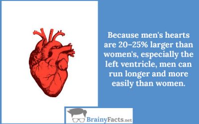 Men’s hearts