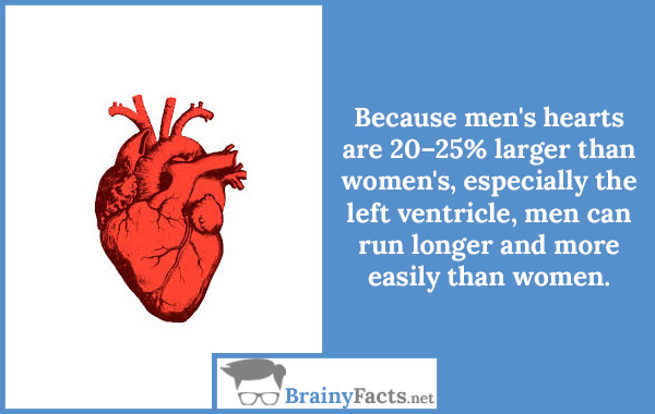 Men’s hearts