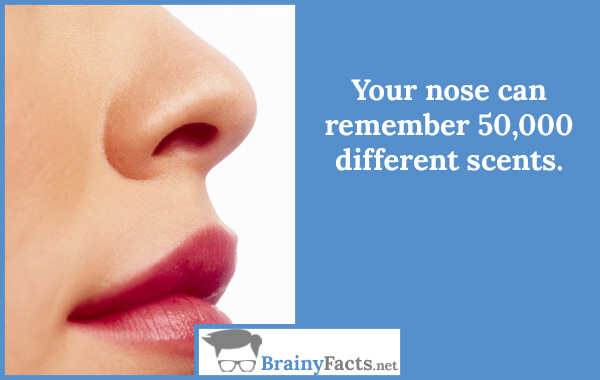 Your nose