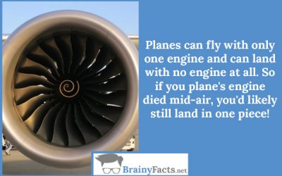 One engine