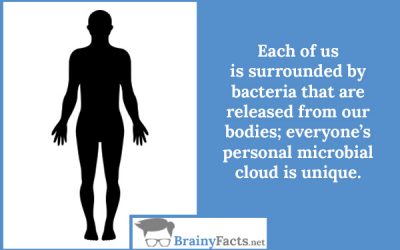 Personal microbial cloud