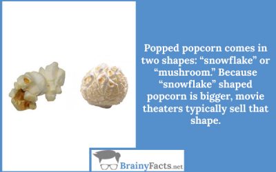 Popcorn shapes