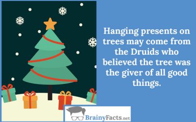 Presents on trees