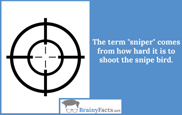 The term “sniper”