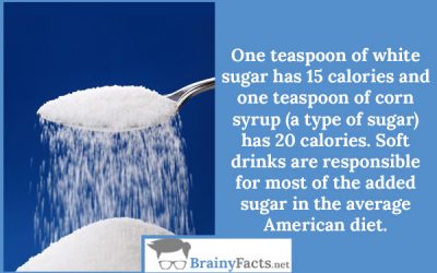 One teaspoon of sugar