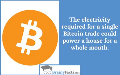 Trade Bitcoin