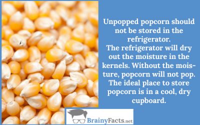 Unpopped popcorn