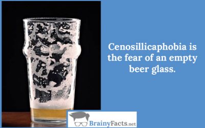 Cenosillicaphobia