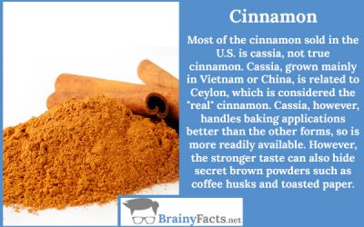 Cinnamon