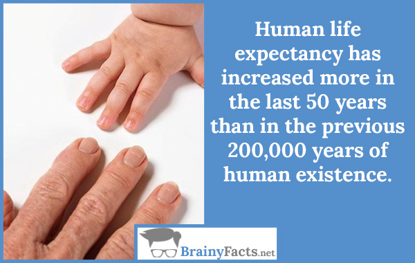 Human life expectancy