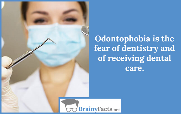 Odontophobia
