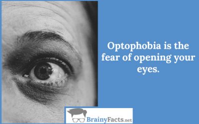 Optophobia