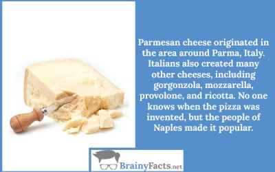 Parmesan cheese