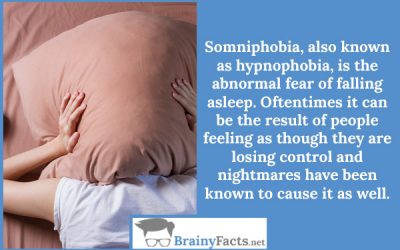 Somniphobia