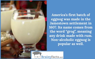 Origins of eggnog