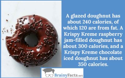 Doughnut calories
