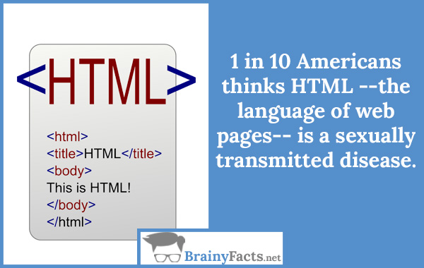 Internet Facts What Does HTML Mean Did You Know