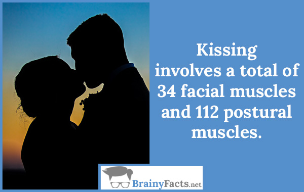 Kissing involves