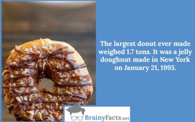 The largest donut