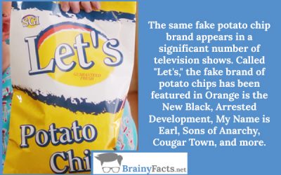 Fake chips