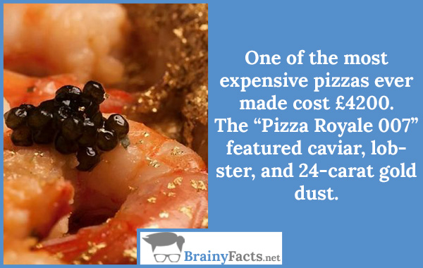 Most expensive pizza