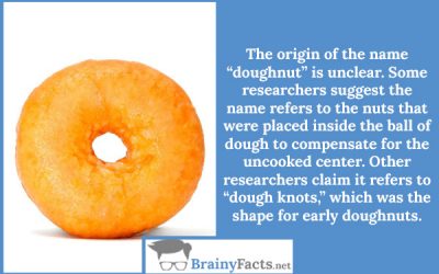 Doughnut origin