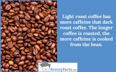 Roast coffee