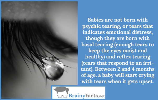Baby tears