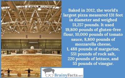 World’s largest pizza