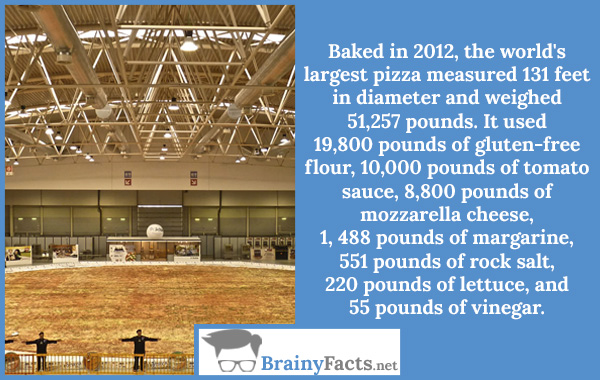 World’s largest pizza