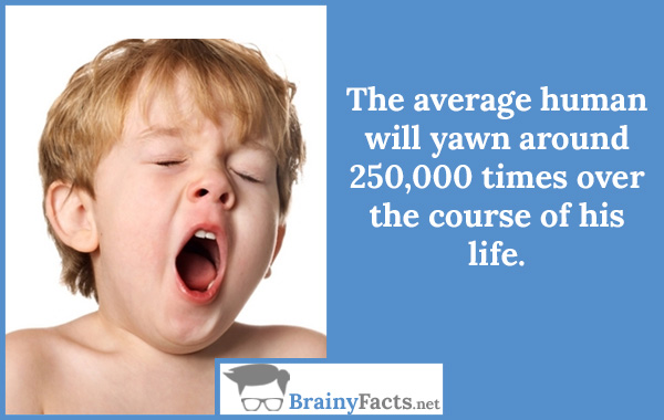 Human will yawn
